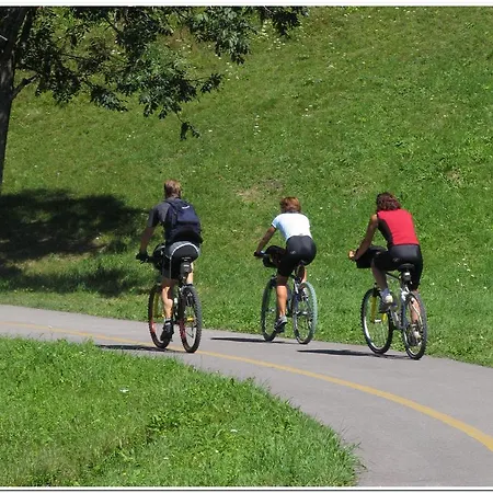 Al Larin 3* Cortina dʼAmpezzo