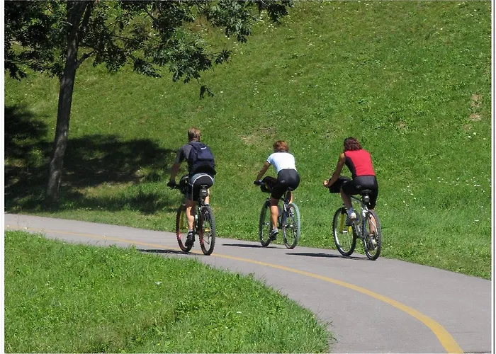 Al Larin 3* Cortina dʼAmpezzo